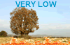 Chandler Burning Index: LOW